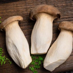 King Oyster Mushroom