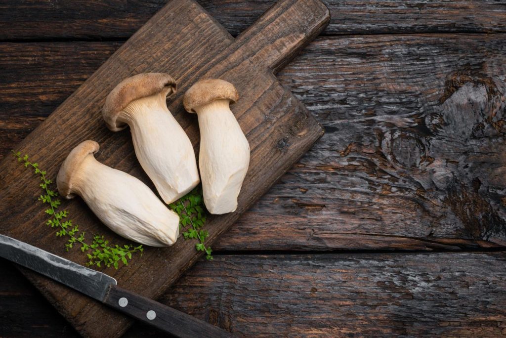 King Oyster Mushroom
