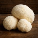 Lion's Mane Mushroom