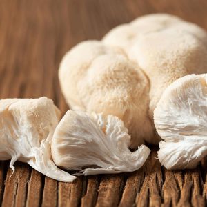 Lion's Mane Mushroom